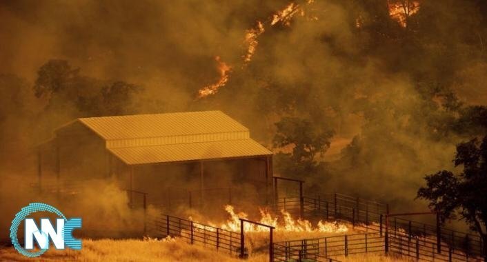 أكثر من 800 إطفائي يكافحون حرائق في غابات البرتغال