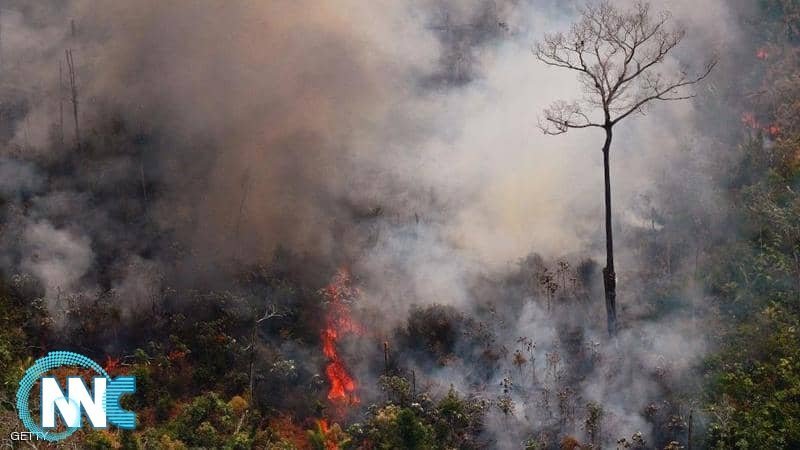 بعد كارثة حرائق الأمازون.. النيران تلتهم “رئة الأرض” الثانية