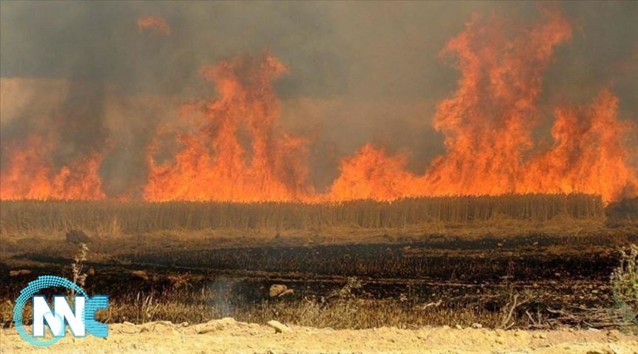 مجلس ديالى يؤكد انخفاض الحرائق في المحافظة بنسبة 50 %