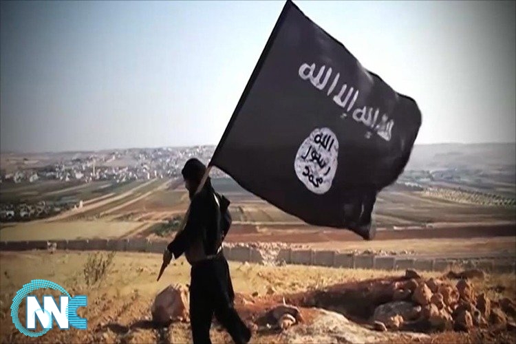 داعش يسيطر على حقل نفطي في سوريا