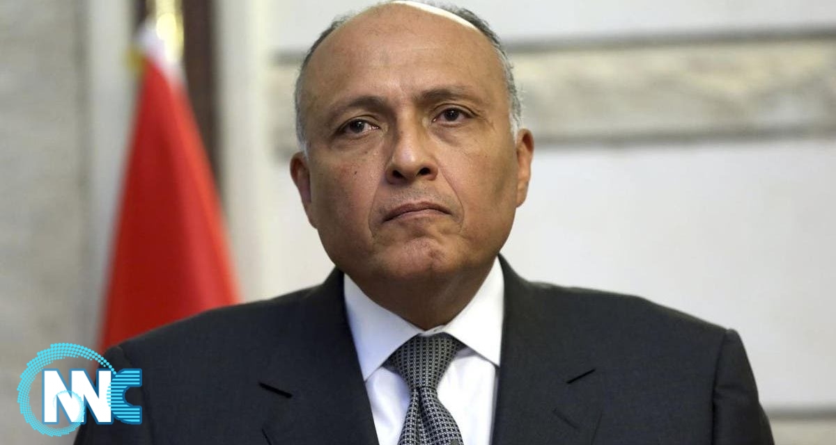 وزير الخارجية المصري يصل إلى بغداد