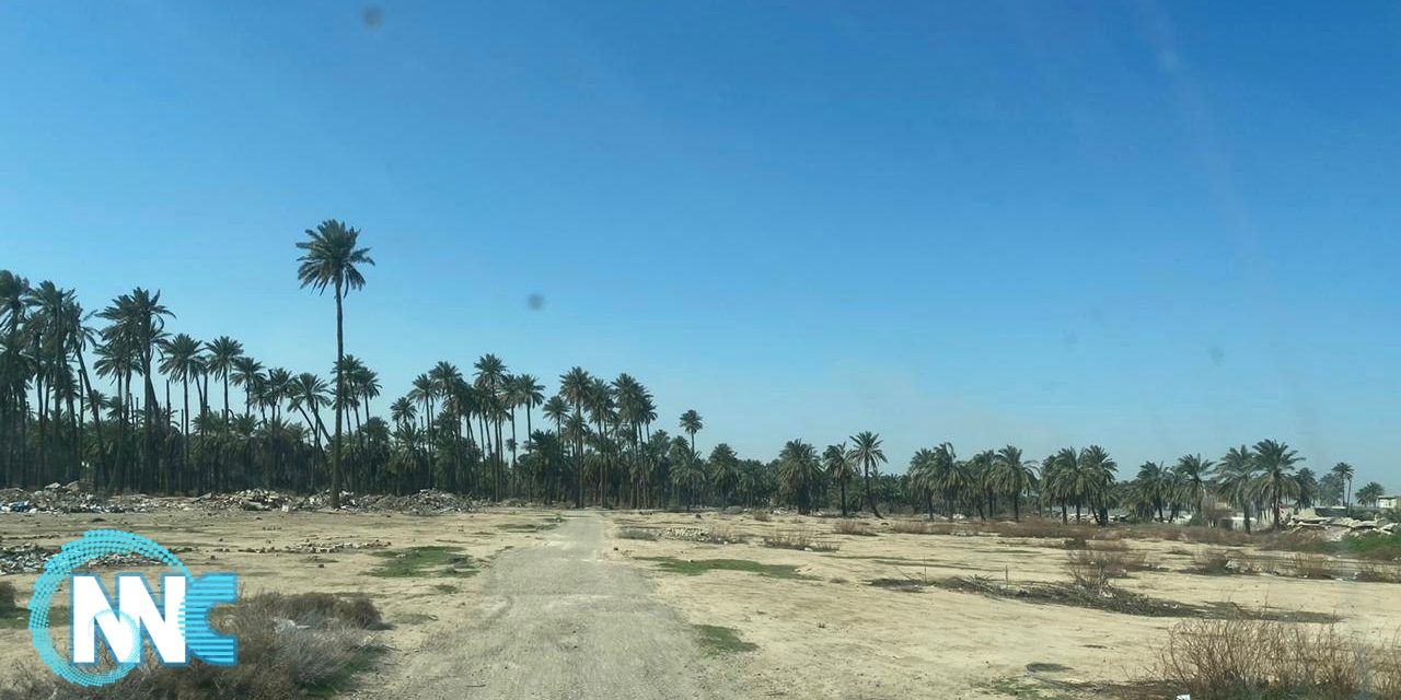أمانة بغداد: تمنع تقطيع ارض زراعية وتحويلها الى سكنية جنوب شرق العاصمة