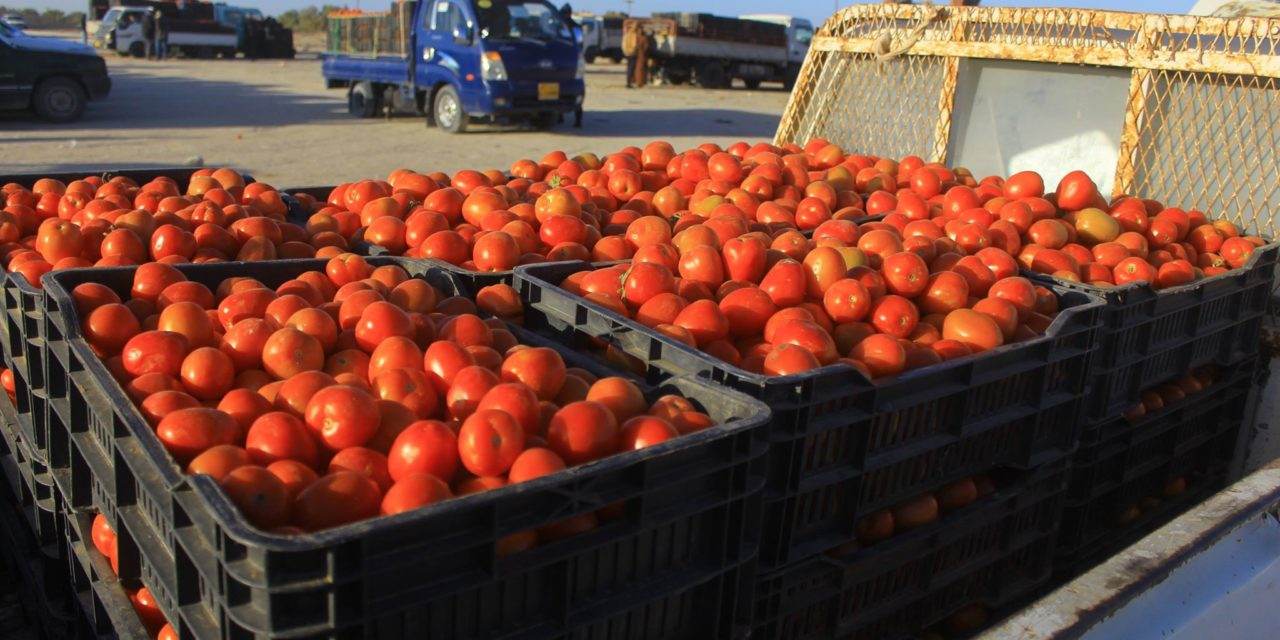 دولة خليجية تبدأ باستيراد محصولي الطماطم والبطاطة والعراقية