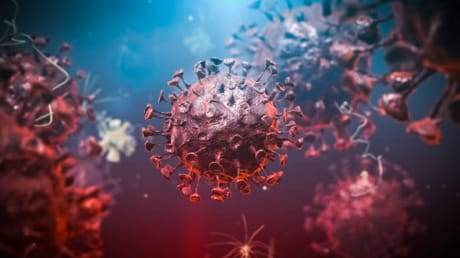 كيف يختطف SARS-CoV-2 الخلايا البشرية للتهرب من جهاز المناعة