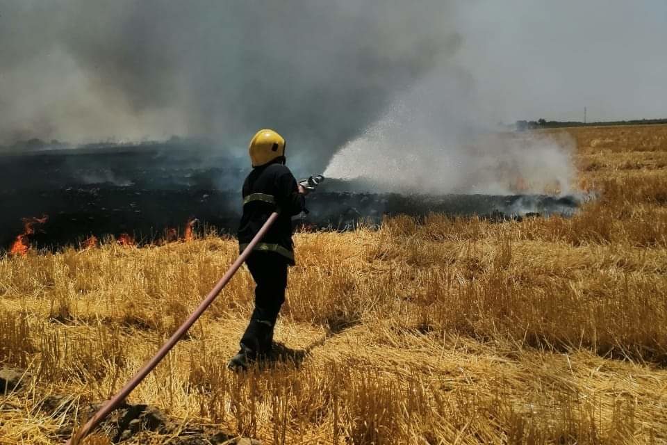 الدفاع المدني تنقذ 20 دونماً من حريق نشب بأرض زراعية في واسط