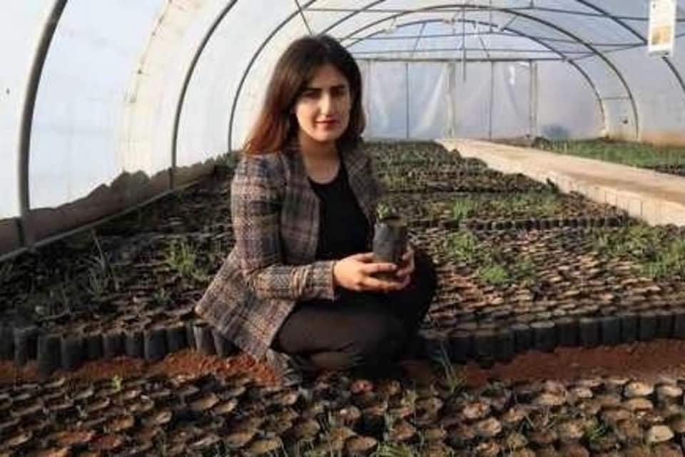 ماذا فعلت هذه الشابة الكردية لزراعة مليون شجرة بلوط؟