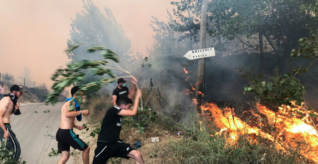 لهول الكارثة.. مفصولون من عملهم يتطوعون لإخماد النيران بولاية جزائرية