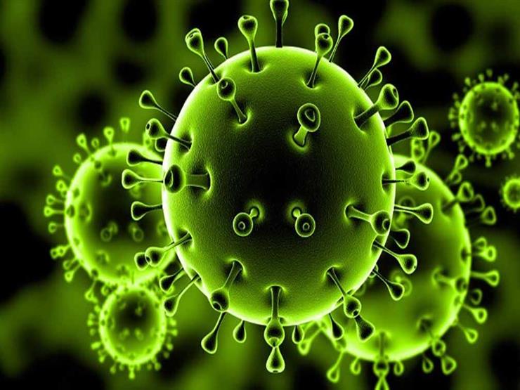 روسيا: تقرير واشنطن حول أصل فيروس كورونا يفتقد للمهنية